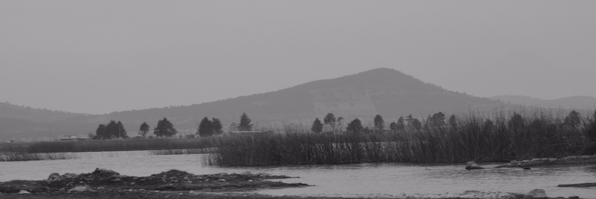 Beeresan's profile banner image