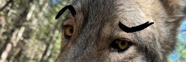 ayooostone Profile Banner