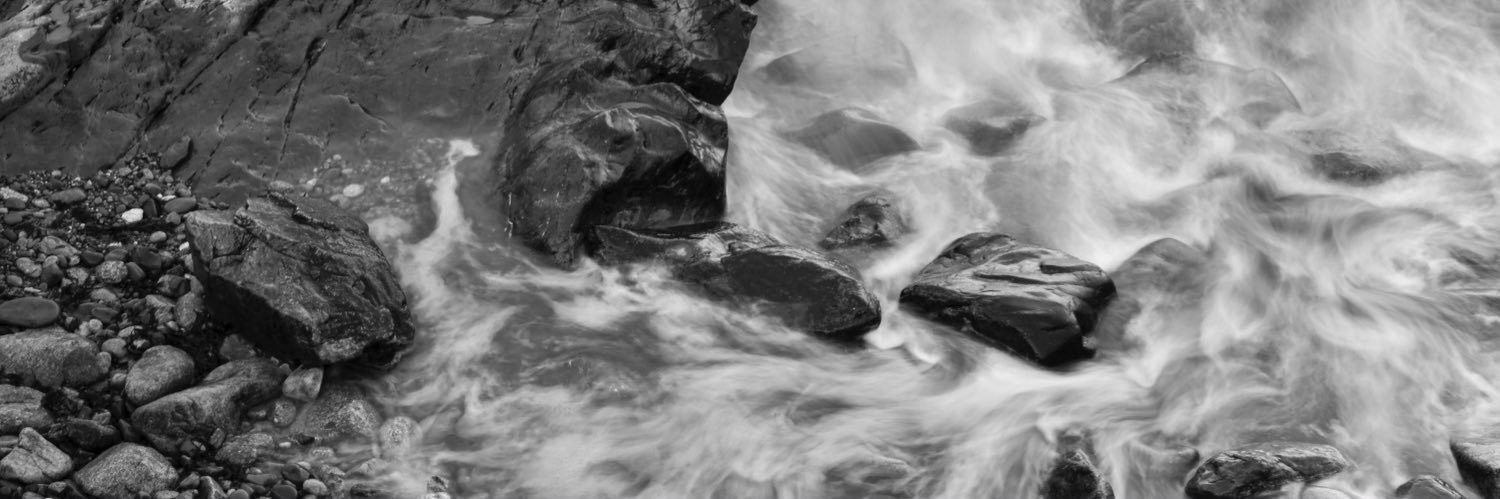 Jeffrey Burrell banner