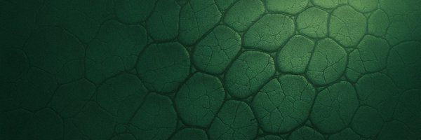 LopSwap Profile Banner