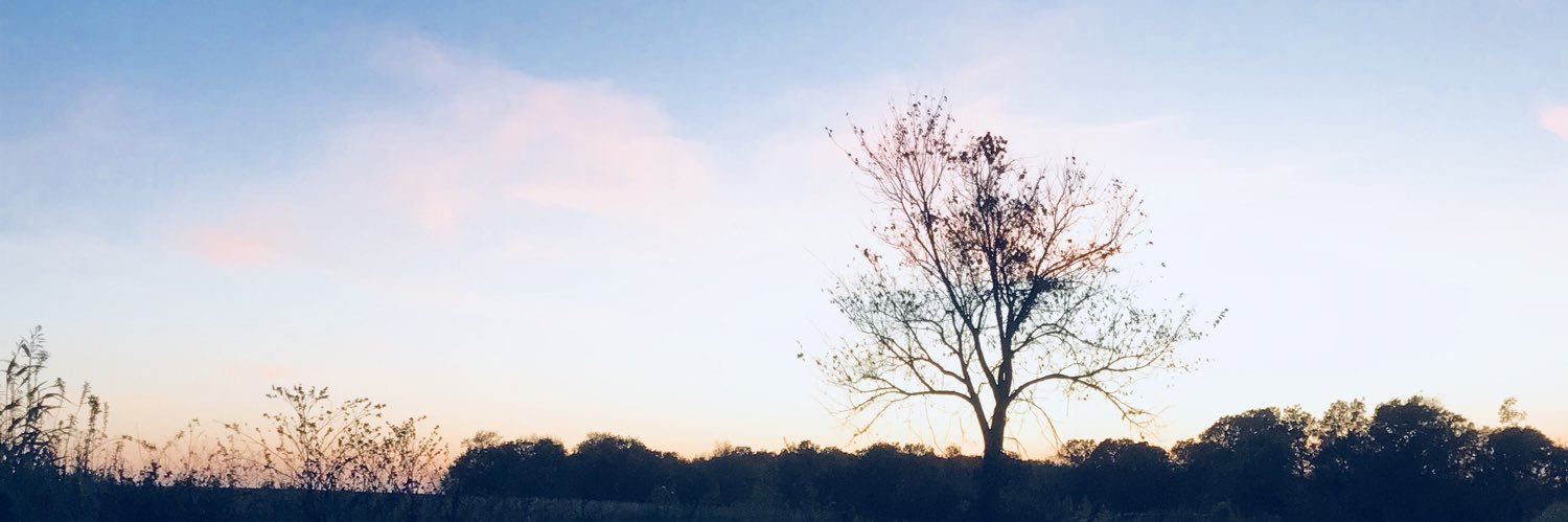 J_RheRhe's profile banner image
