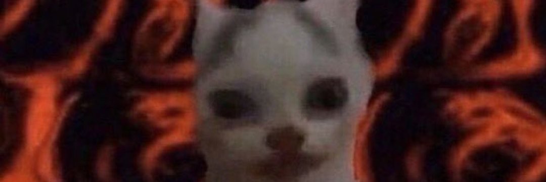 もう寝なさい banner