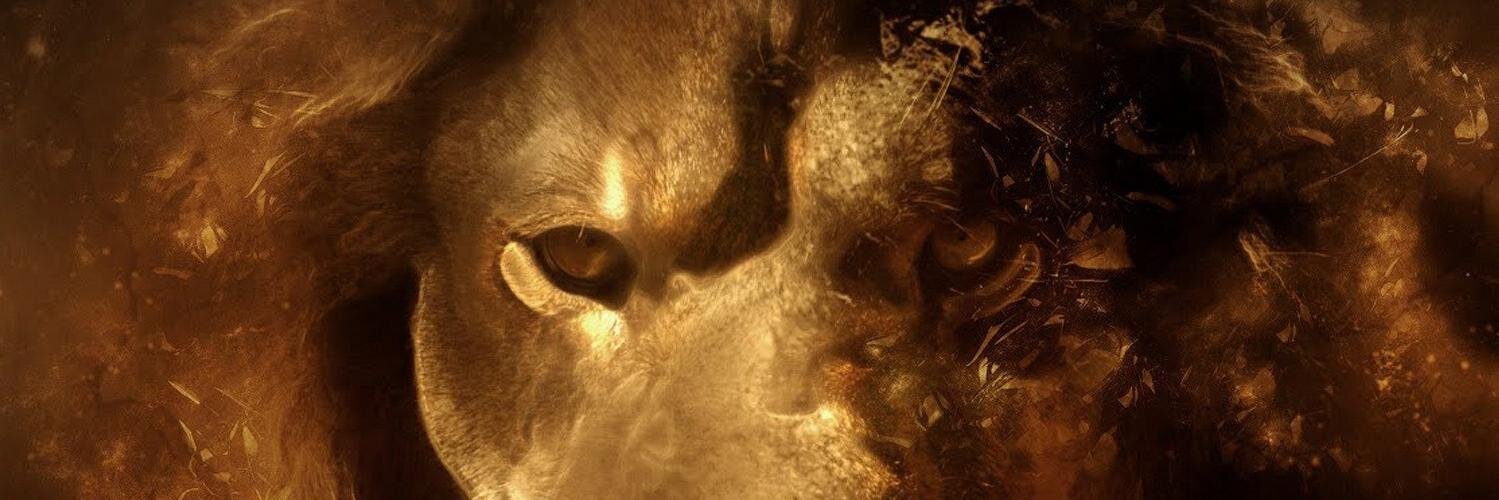 volkanert's profile banner image