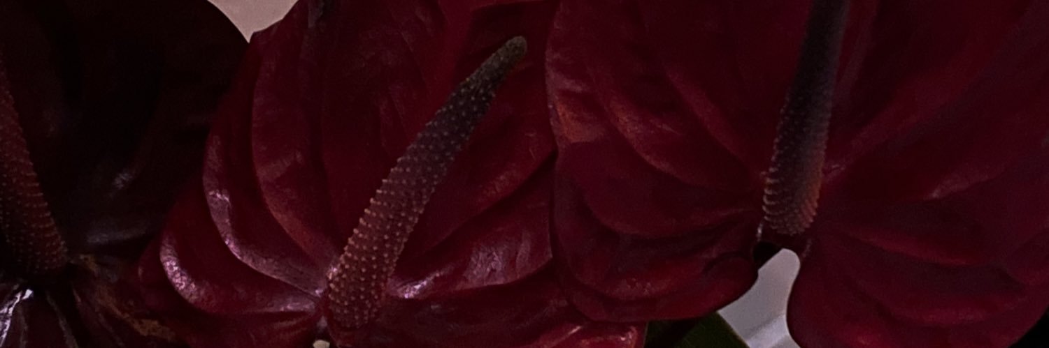 balbihg's profile banner image