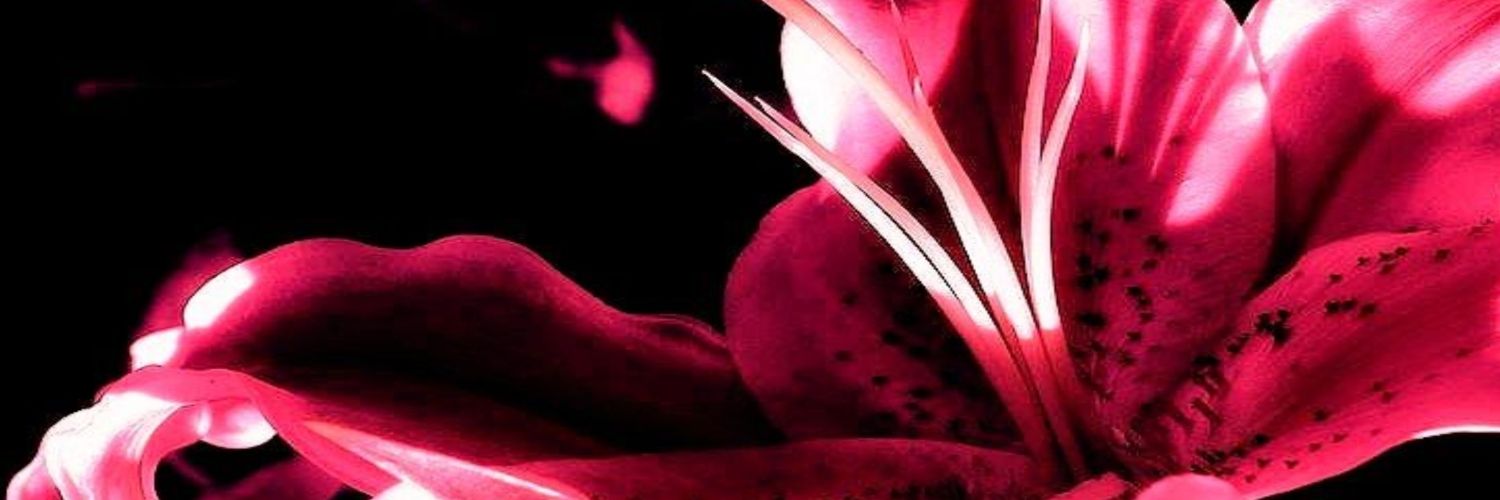imataland's profile banner image