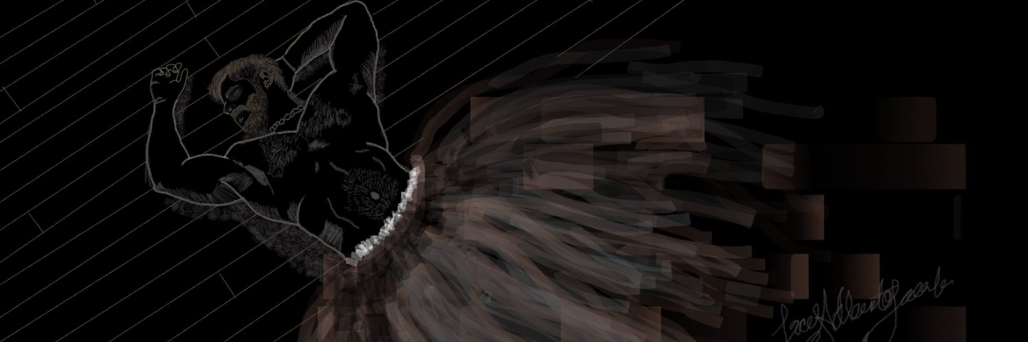 xoloseda's profile banner image