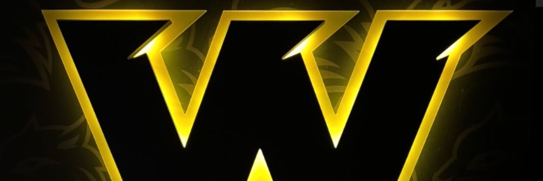 Wayne State WBB banner