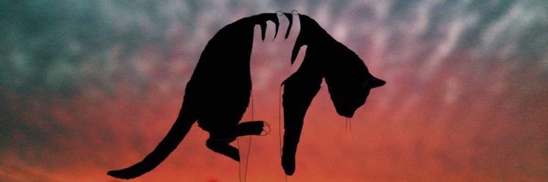 auuroraass's profile banner image