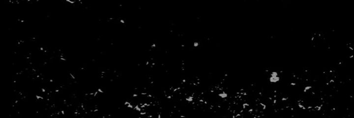 Lucena🧚🏽‍♀️ banner