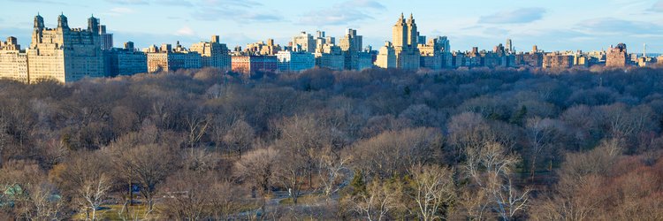 Bill Dedman, investigative reporter and author banner