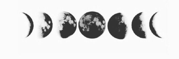 HEELWheeler Profile Banner