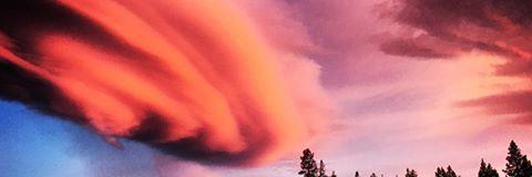 DrRNAmy banner