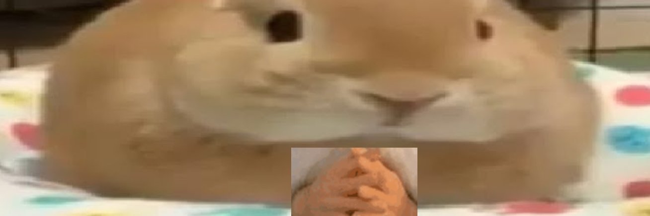 internet_idiot5 banner