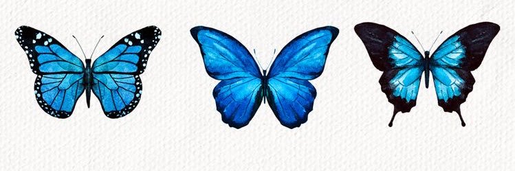 Taylor_Goodwyn's profile banner image