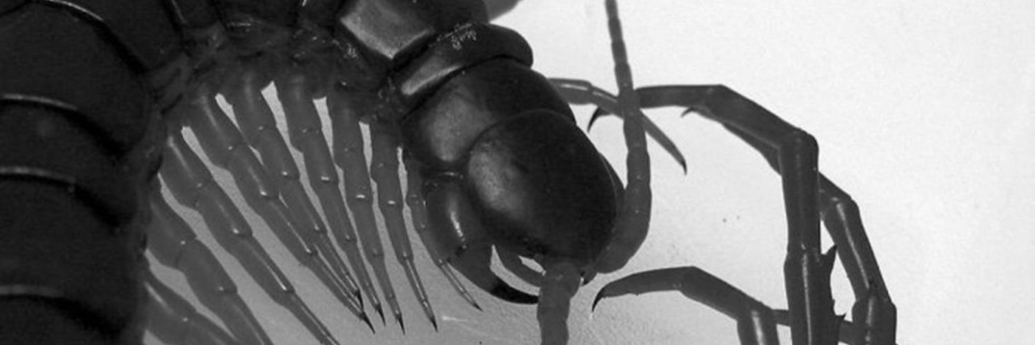 ДУМАТЬ О ХОРОШЕМ banner