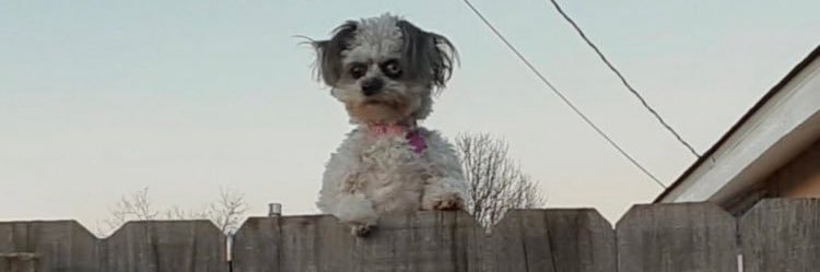 _reeeezy's profile banner image