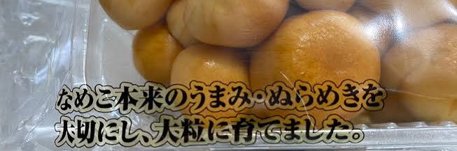 ぬらめき🍄👁 banner