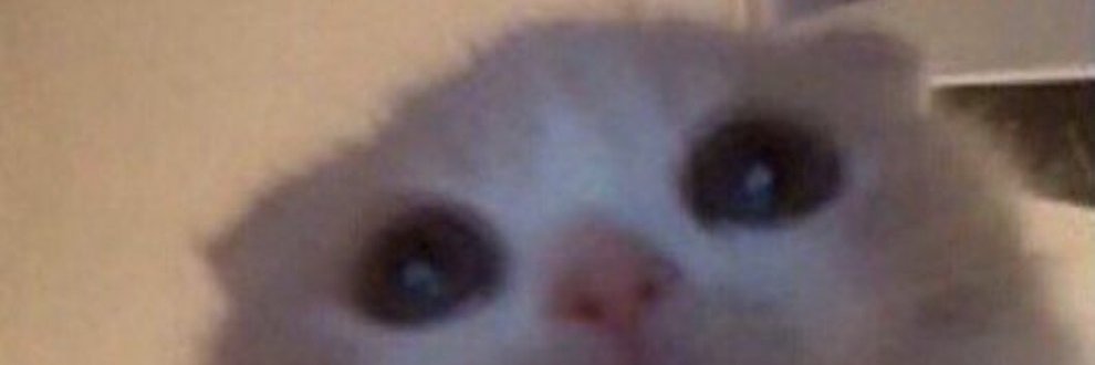 Alex banner