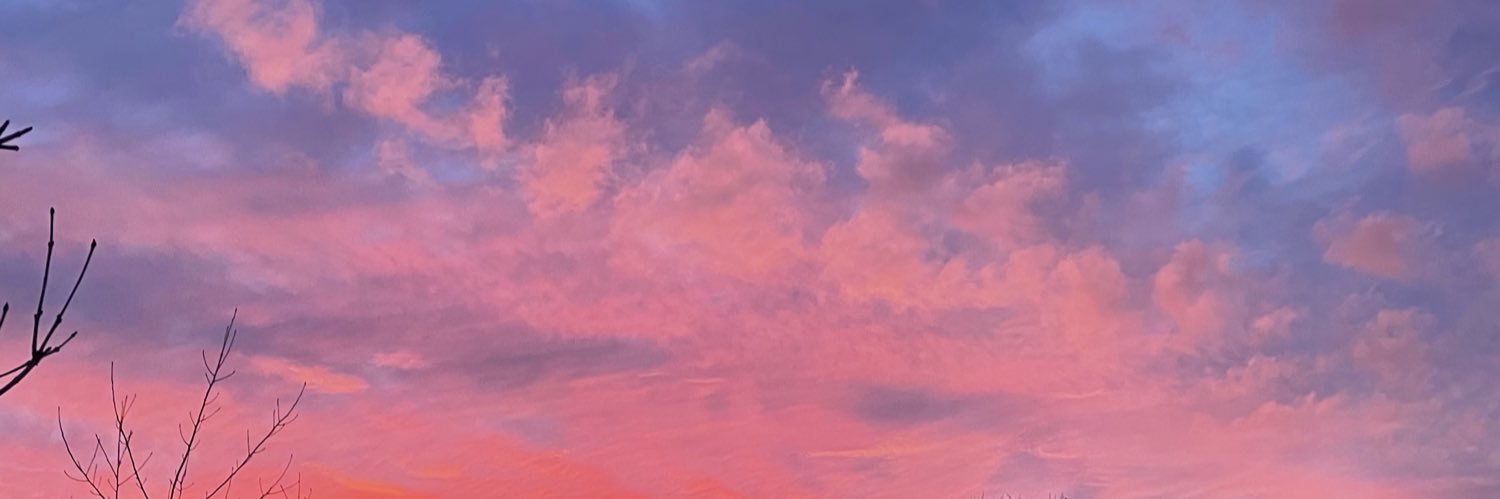 beluchaa13's profile banner image