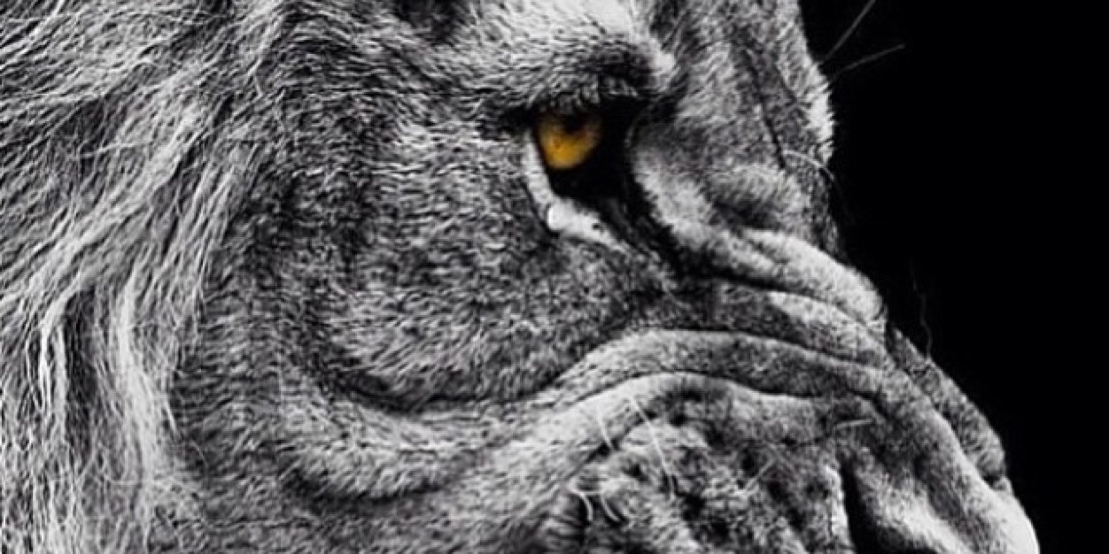 781Matriix's profile banner image