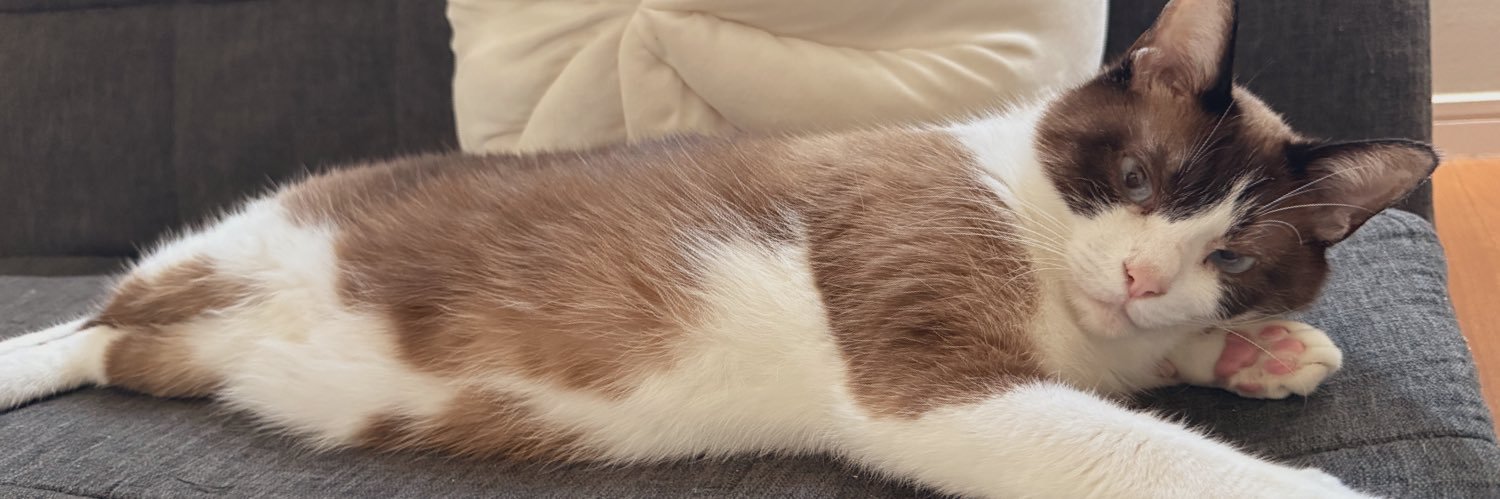 は る🐱クローン病(また入院中) banner