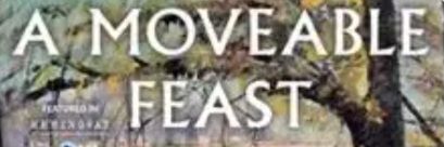 @Zeldafitz11's banner
