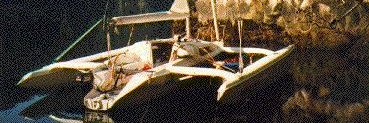 Hahn banner