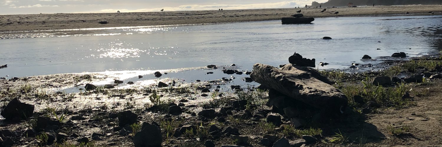 caseyy_in's profile banner image
