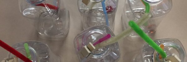 shupik Profile Banner