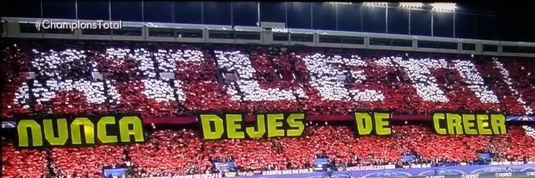 ForzaAtleti banner