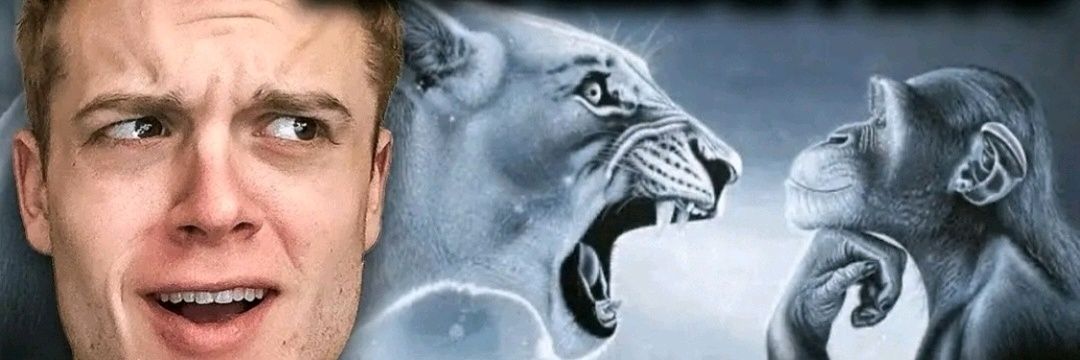 RDturtle's profile banner image