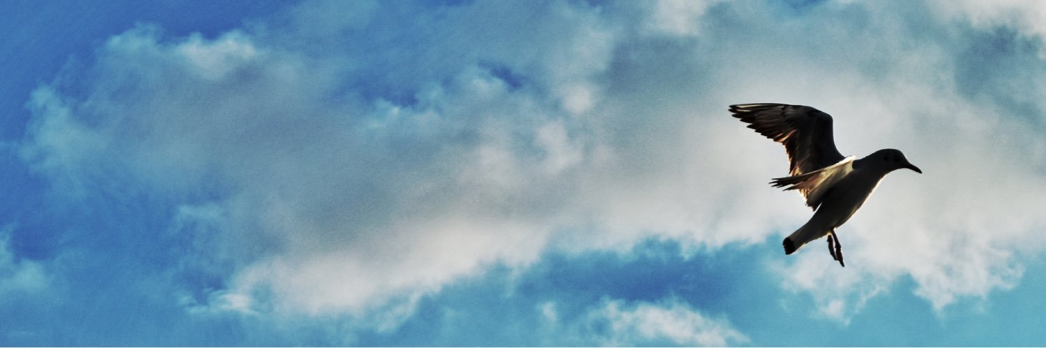 cemsessions's profile banner image