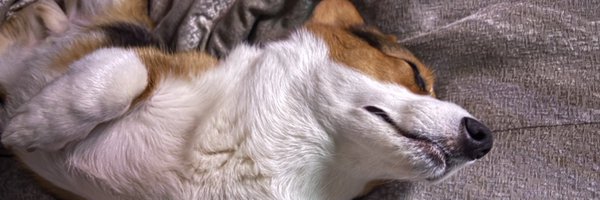 thelfleezy23 Profile Banner