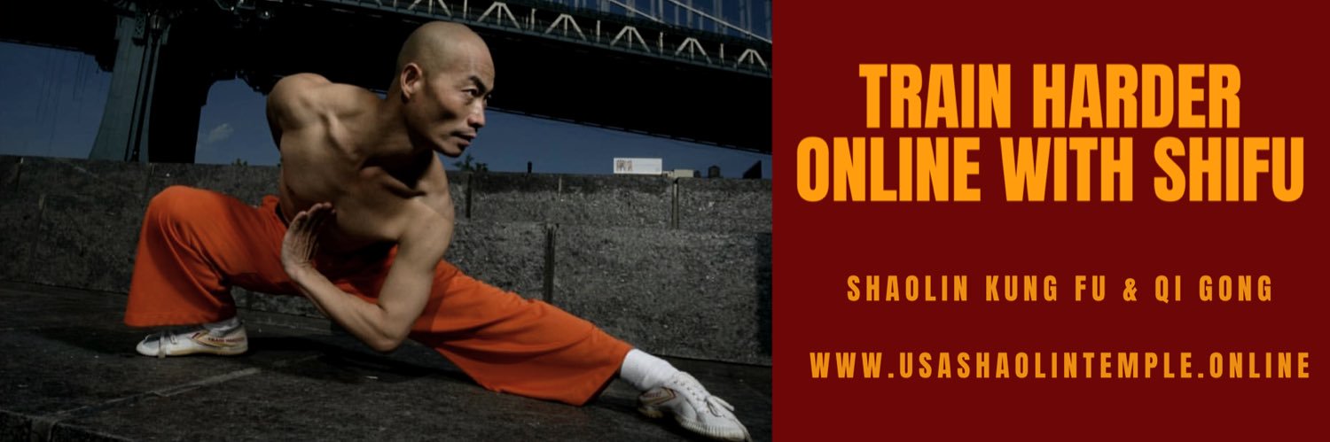usashaolin's profile banner image