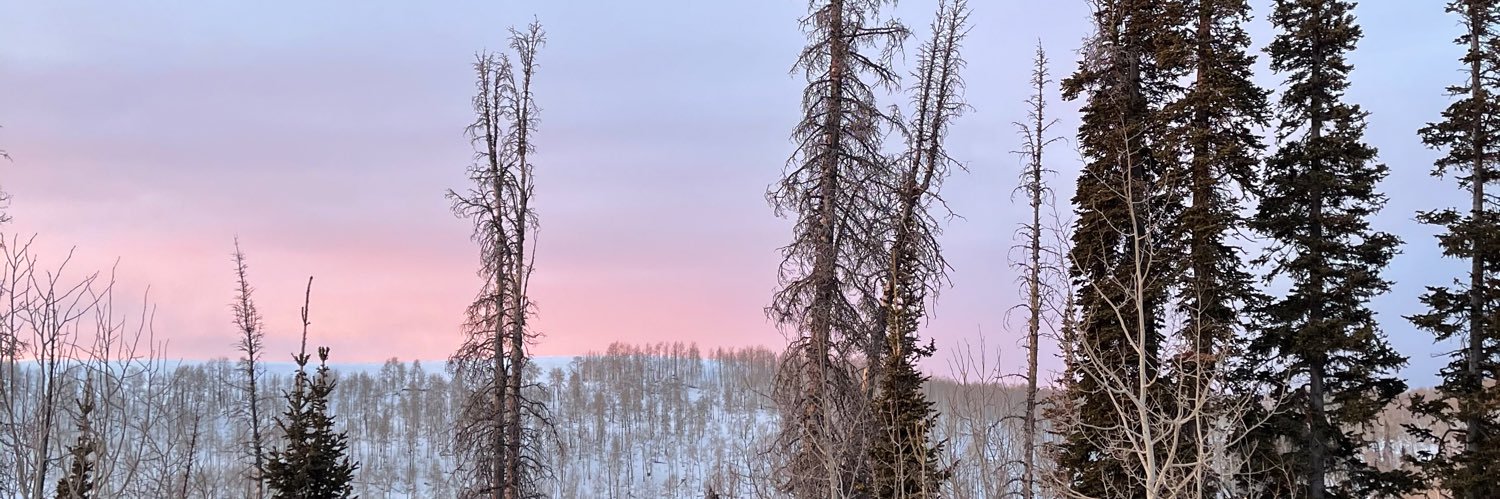 kindree_ault's profile banner image