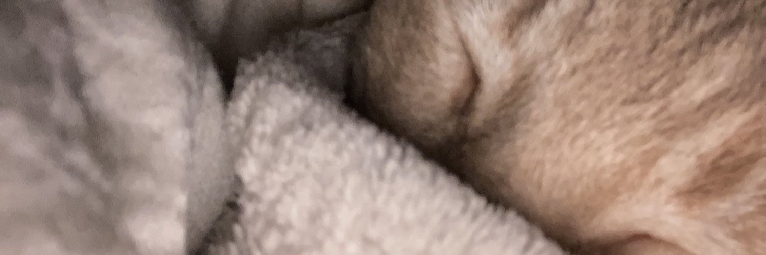 Sqizzelpip's banner