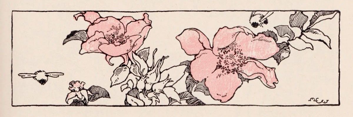 ayisha 𑣲 🌸🌷 banner