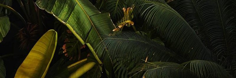 MyDarlingLove95's profile banner image