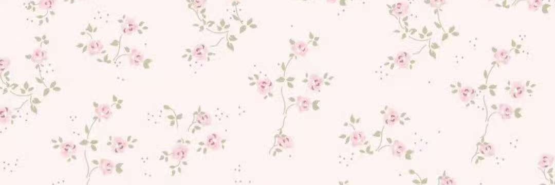 joshhs22038's profile banner image