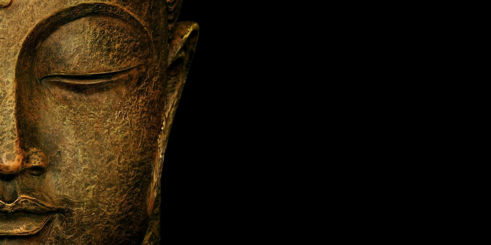 YellowYLL's profile banner image