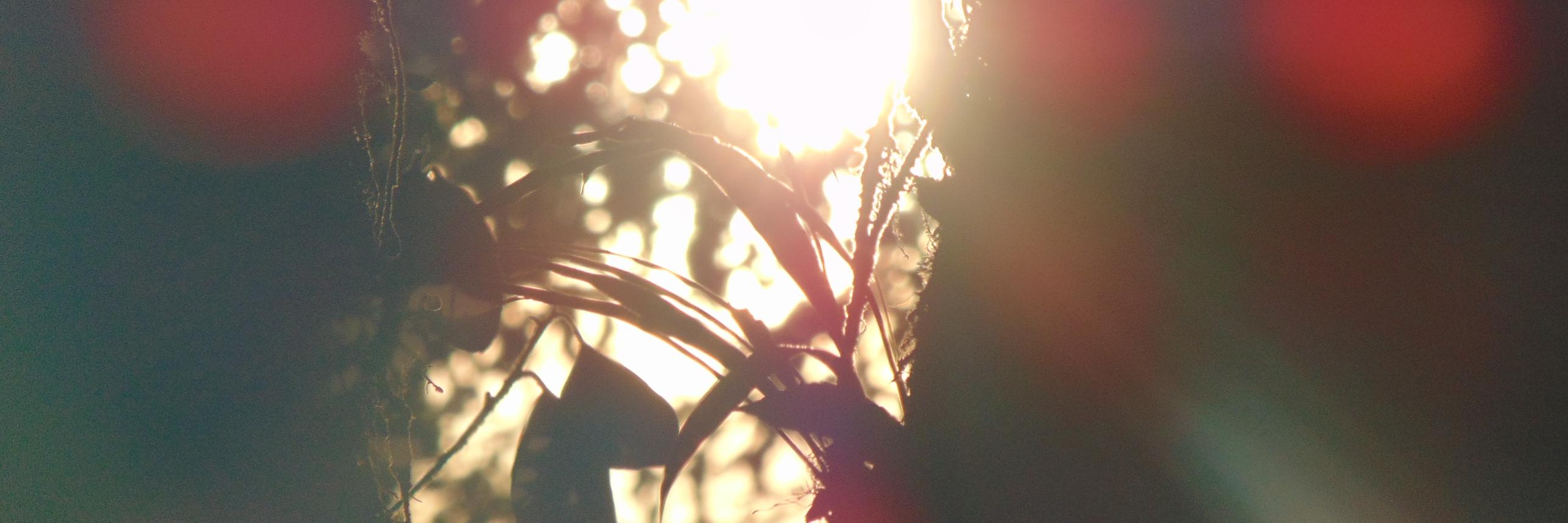 nadinfha's profile banner image