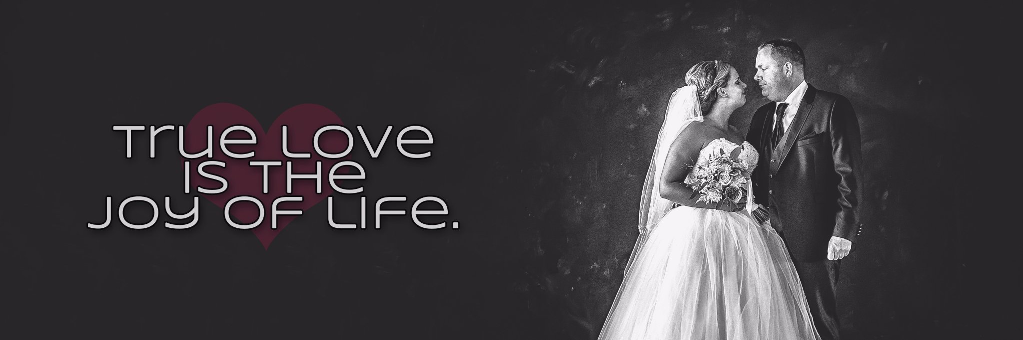 fotovanstam's profile banner image