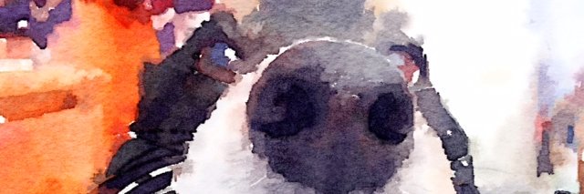 Blue2122's profile banner image
