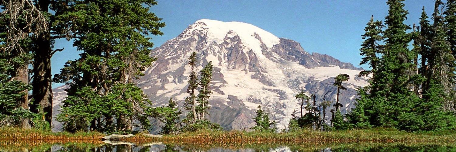 piercedems's profile banner image