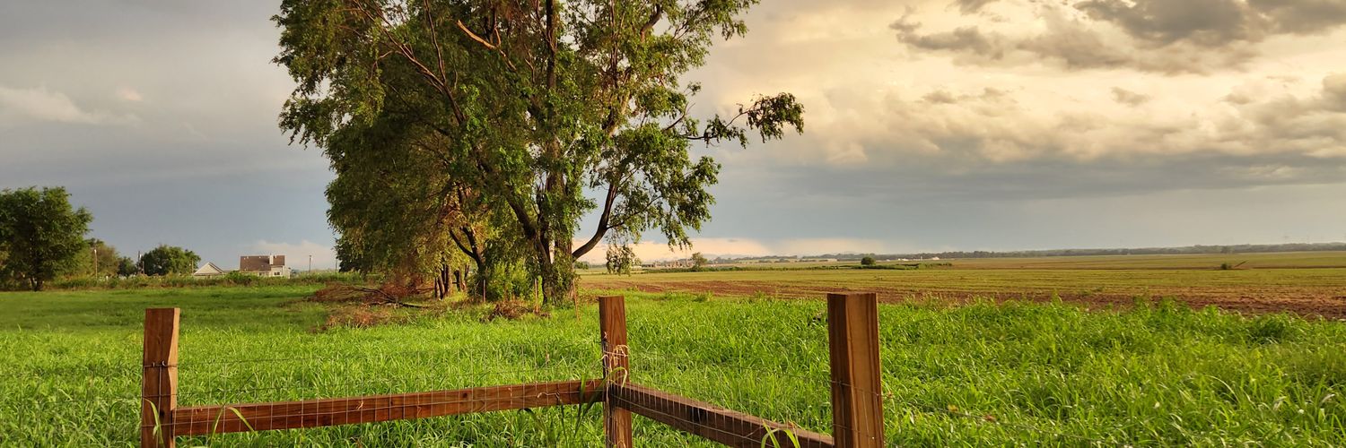 GaylaC's profile banner image