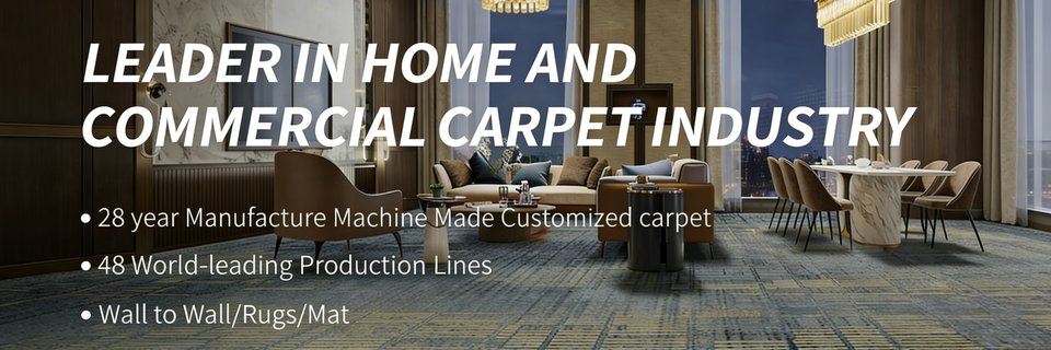 DS_Carpet1998's profile banner image