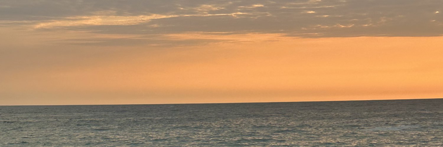 paomierg's profile banner image