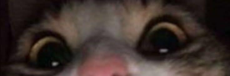 Ahmed Richard banner