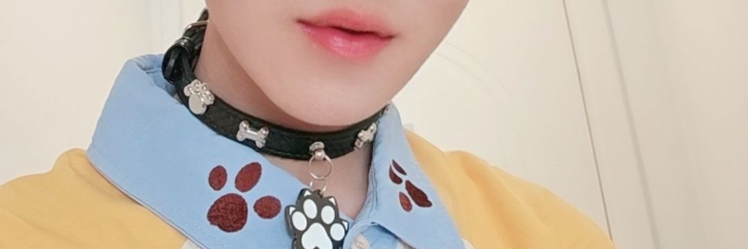 小小迪(ˊ˘ˋ*) banner