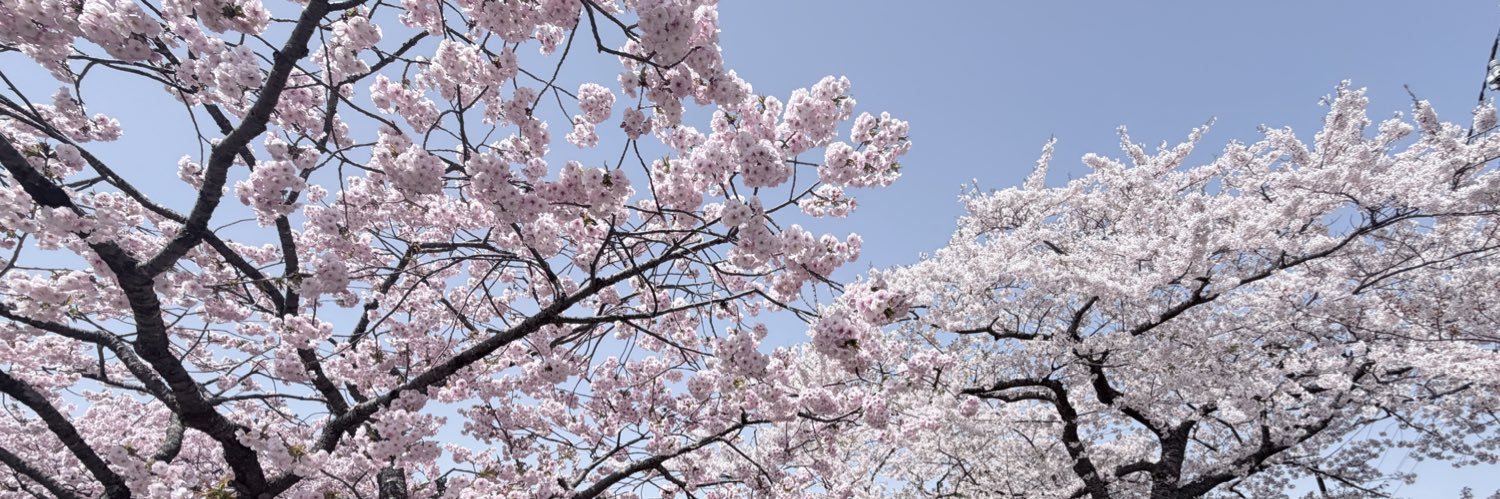 ちいちゃん banner